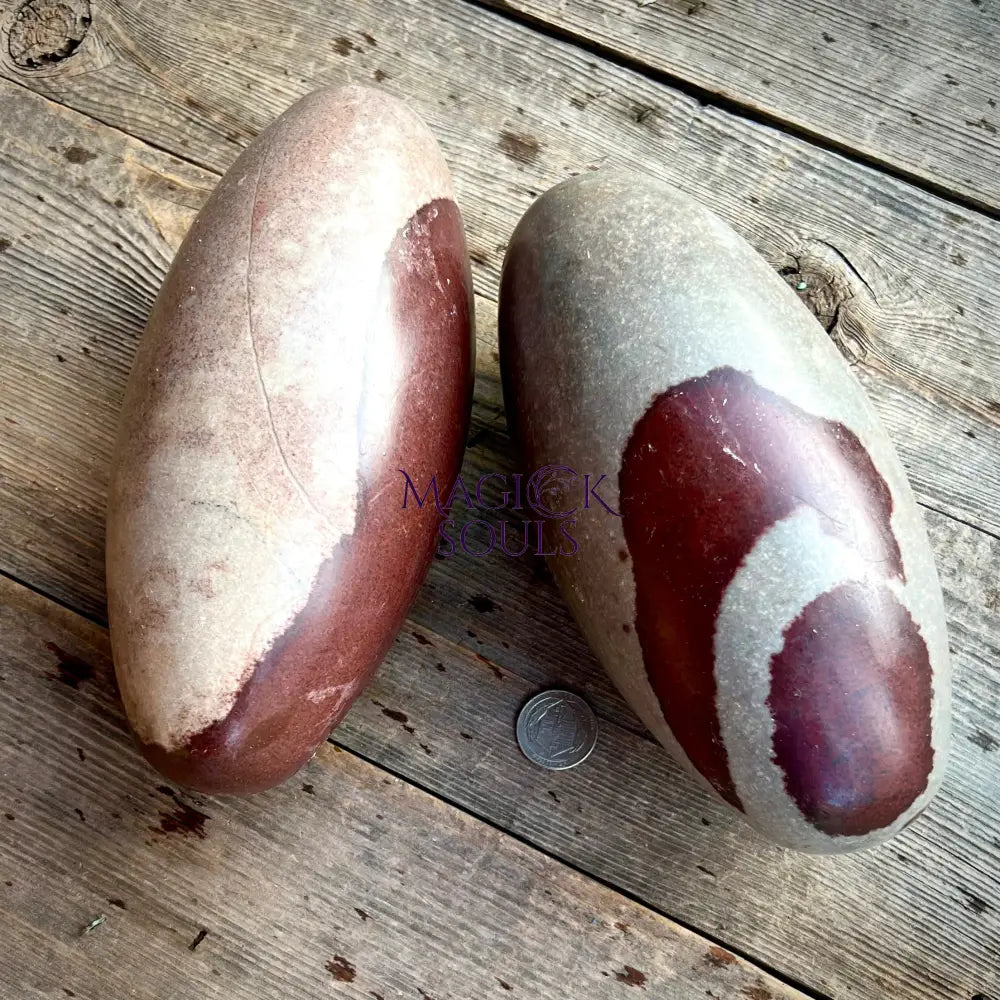 Shiva Lingam Stone — Narmada River Sacred Crystal for Healing & Balance