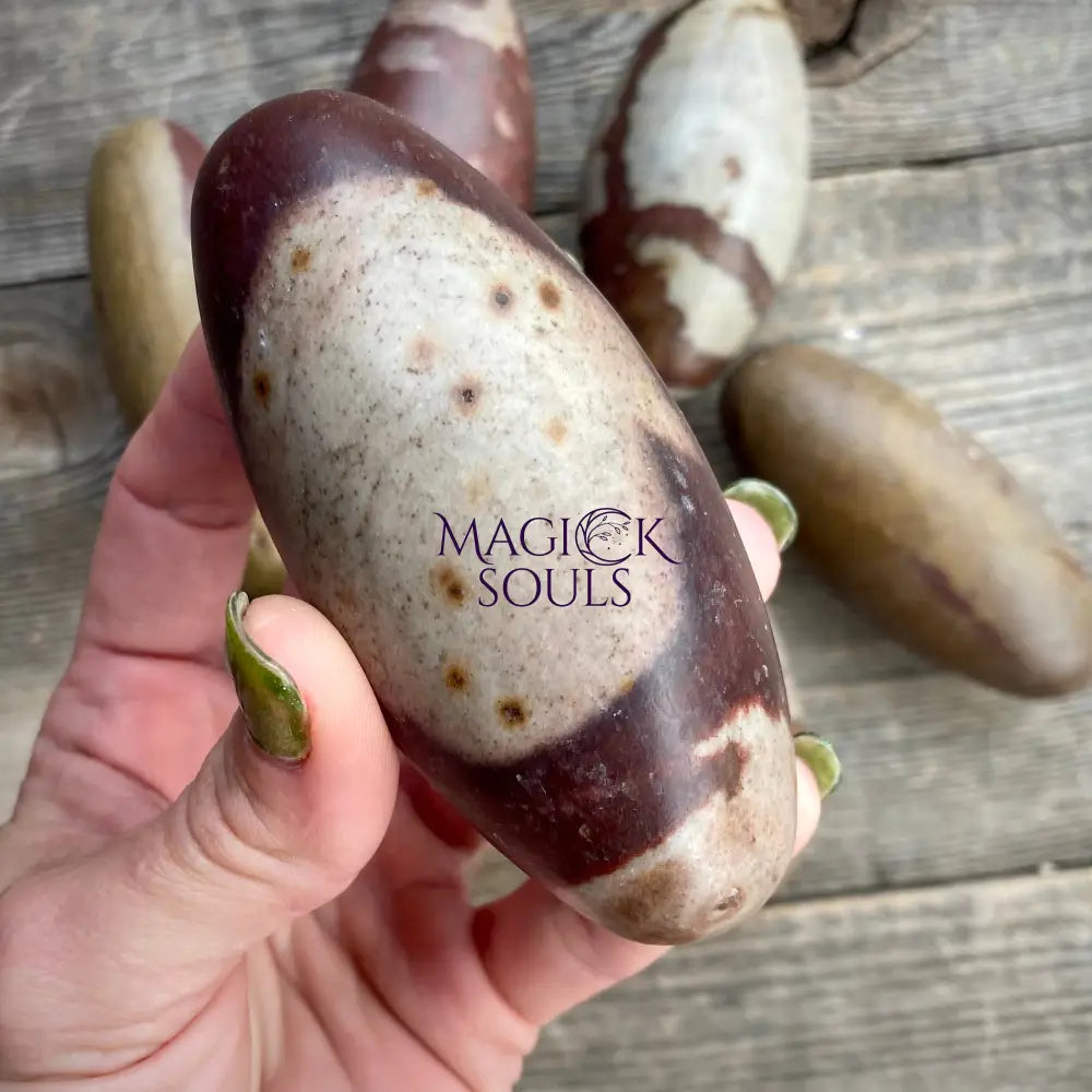 Shiva Lingam Stone — Narmada River Sacred Crystal for Healing & Balance